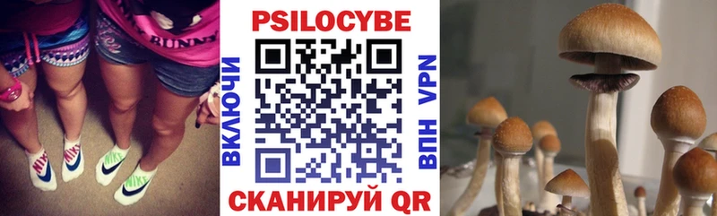 Псилоцибиновые грибы GOLDEN TEACHER KRAKEN ссылки Кизел